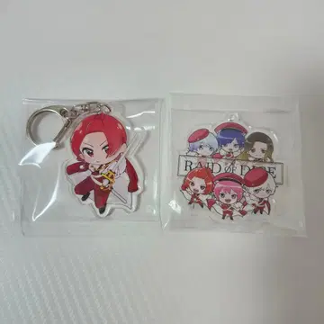 이레이스 아크릴 키링 RAID OF DICE 리우라