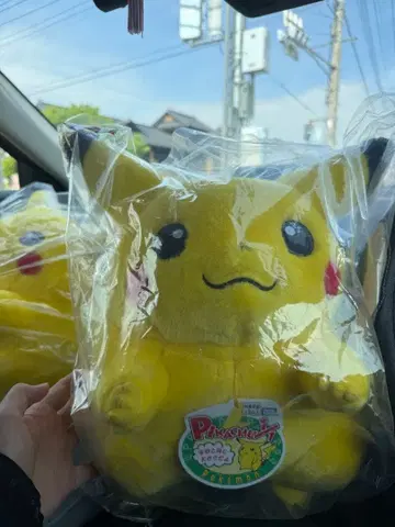 포켓몬스터 포켓몬 30주년 기념 어서 와! 피카츄