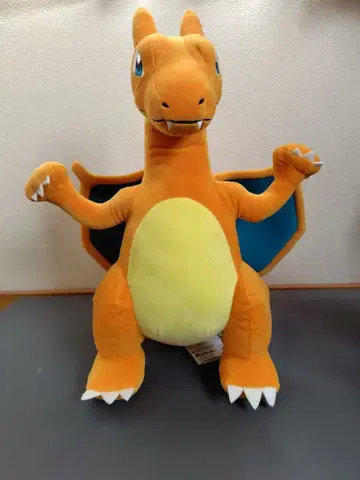 포켓몬스터 메챠모후굿토 봉제 인형 리자몽