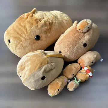 카피바라 봉제 인형 세트 브라운 대중소