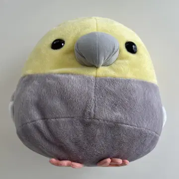 코토리대 오카메앵무 봉제 인형