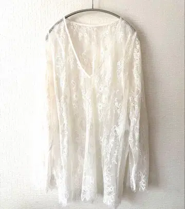 LA BELLE ETUDE 라벨에튀드 전체 레이스 V넥 오버 긴팔 상의