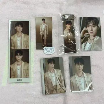 SEVENTEEN RIGHT HERE 왈츠 디노