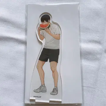 하이큐 세븐넷 한정판 아크릴 스탠드 카게야마 토비오