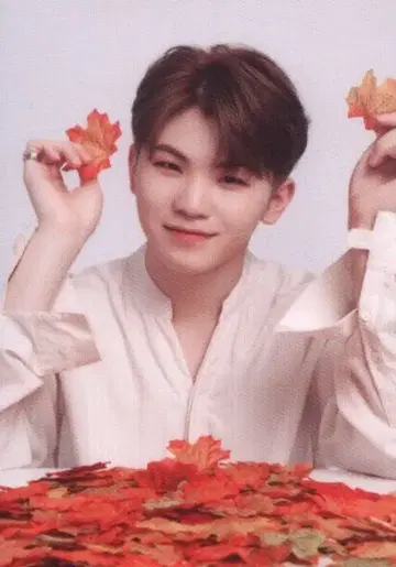 세븐틴 우지 2019 ODE to You IN JAPAN 72
