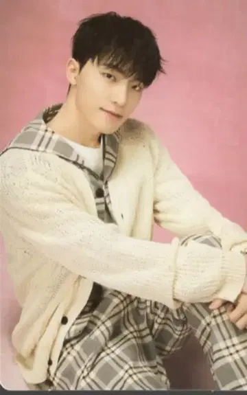 SEVENTEEN DINO 2024 CARAT LAND 65/87