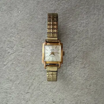 에니카 ENICAR INCABLOC 시계 21JEWELS