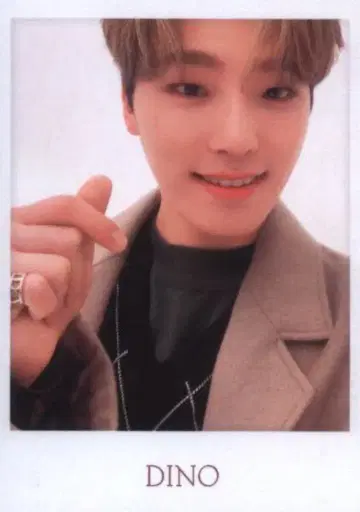 SEVENTEEN DINO 2020 TO CARAT 41