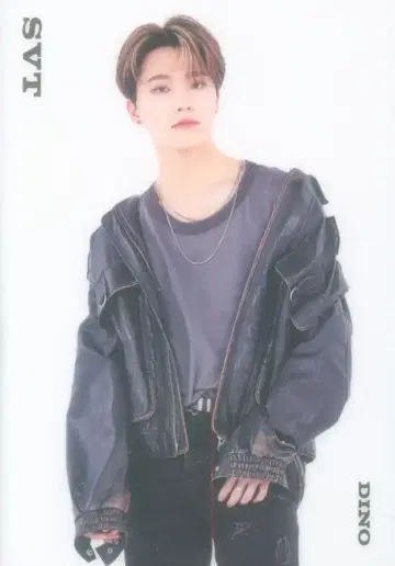 SEVENTEEN 2021 HARE DINO 트레이딩 카드 0104