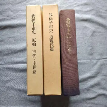 아비코 시사