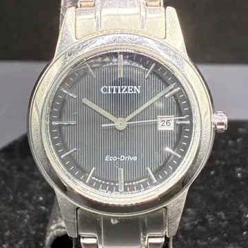 시티즌 CITIZEN 에코 드라이브 29mm 손목시계 데이트 남성용
