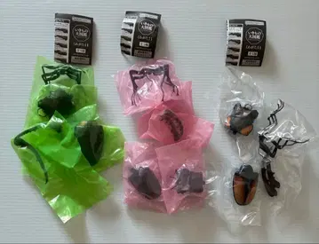 생물대도감 사슴벌레 3종