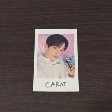 SEVENTEEN YAKUSOKU 폴라로이드 도겸