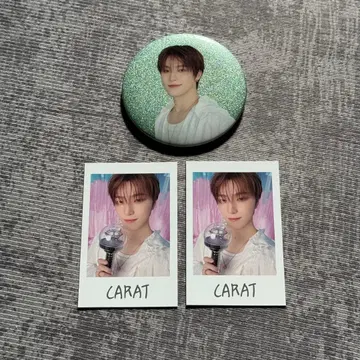 SEVENTEEN YAKUSOKU 폴라로이드 캔뱃지 디노