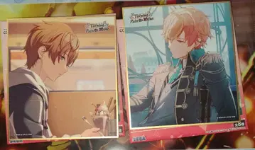 프로세카 57B 시노노메 아키토 색지