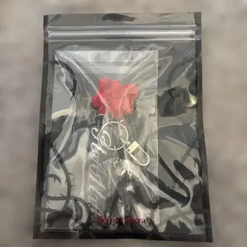 Born to Bloom HANA 응원봉 참