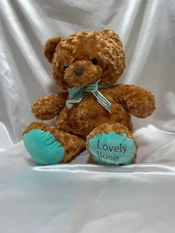 Lovely Rose 곰 모양 봉제 인형
