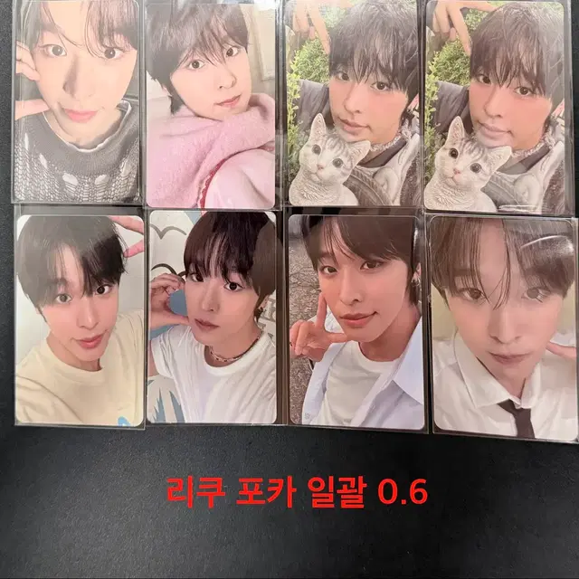 NCT WISH 엔티시 위시 리쿠 포카 일괄