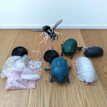 생물대도감 6종 세트 쥐며느리/사마귀/풍뎅이/말벌