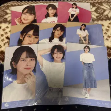 사사키 마이카 브로마이드 묶음 판매