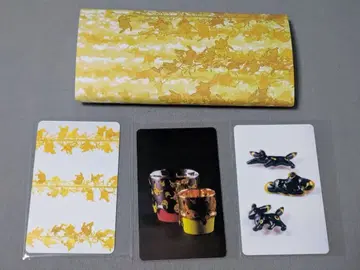 포켓몬 공예전 홋카이도 삿포로 한정판 카드 3세트 피카츄 블래키