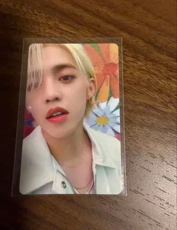 SEVENTEEN 세븐틴 에스쿱스 your choice 중화 혜택