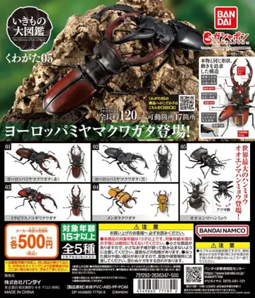 생물대도감 장수풍뎅이 05