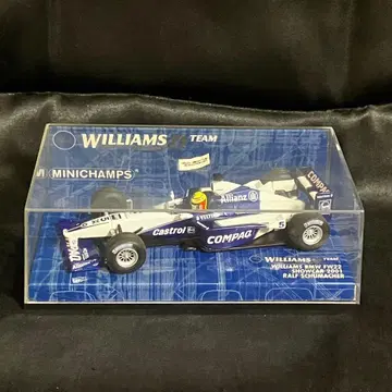 WILLIAMS BMW FW22 SHOWCAR 2001 #5 1/43