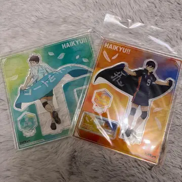 하이큐!! 아크릴 스탠드 2종 세트 오이카와 토오루 카게야마 토비오