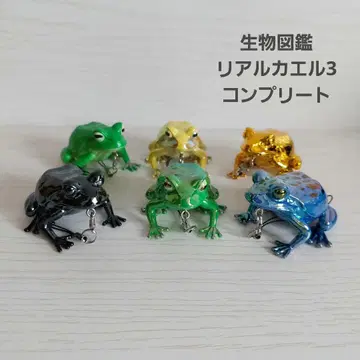 생물도감 리얼 개구리 3 피규어 스트랩 컴플리트 6종 세트