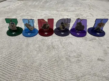 Eve 아크릴 키링 세트 6개