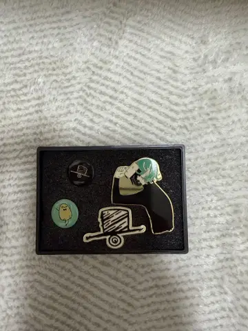 Eve 핀 배지 세트