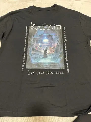 Eve LIVE T셔츠 2022