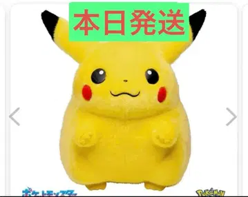 [ 미개봉 새상품 ] 돌아온 피카츄 봉제 인형 30주년 1/1