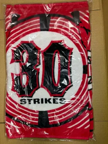 THE MODS 30 STRIKES 타월