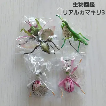 생물도감 리얼 사마귀 3 피규어 스트랩 세트 곤충