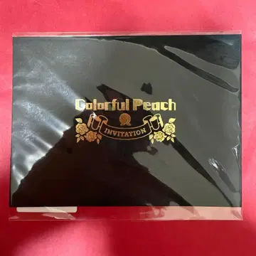 새상품 컬러풀 피치 인비테이션 카드 유안군