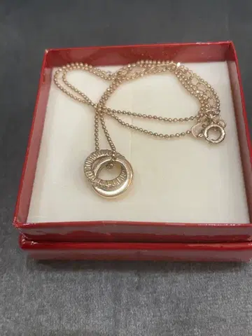 BLOOM 목걸이 silver925