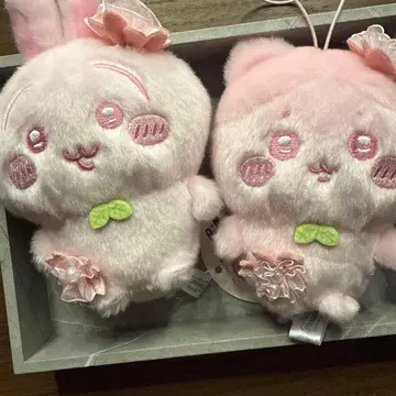 치이카와 누이 팔레트 사쿠라이로 마스코트 토끼 하치와레