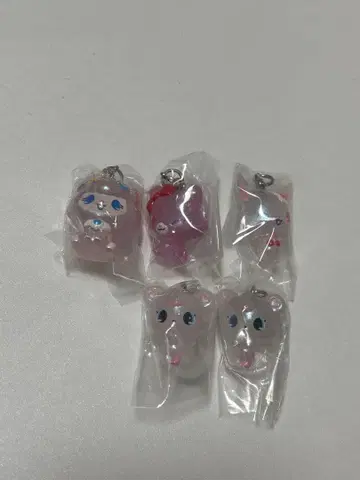 주얼펫 오로라 버전 5개 세트