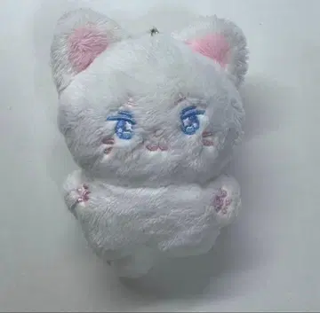 seventeen 준 봉제 인형