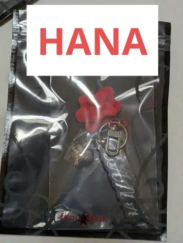 HANA 응원봉 참 1st 투어 Born to Bloom