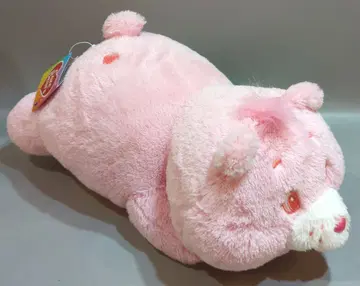 SK재팬 케어베어 네소베리 BIG 봉제인형 러브어롯베어