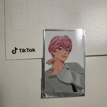PLAVE TikTok 트레이딩 카드 숨바꼭질 밤비