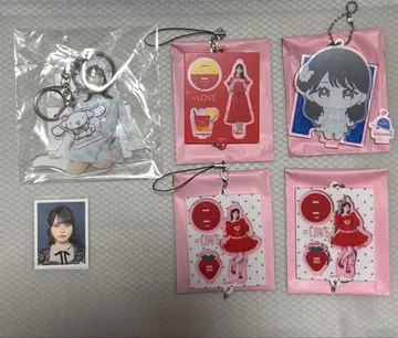 사사키 마이카 묶음 판매 미니 복권 시나몬 ID 사진