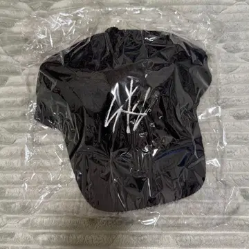 미개봉 새상품 Stray Kids 보아캡 캡 Xmas 2023