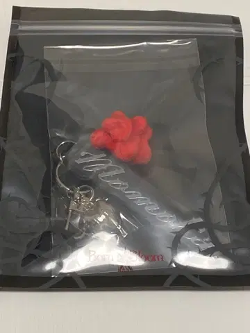 HANA MOMOKA 모모카 Born to Bloom 응원봉 참