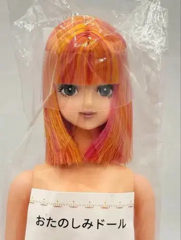 사야카 리카짱 캐슬 오타노시미 인형 주황색 계열 밥 제니 프렌드