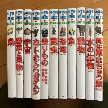 소학관의 도감 NEO 11권 세트