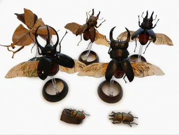 [정크] [생물 대도감] 리얼 곤충 피규어 (낱개 판매 불가)